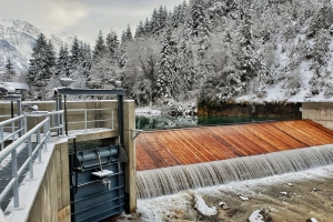 hinterstein5